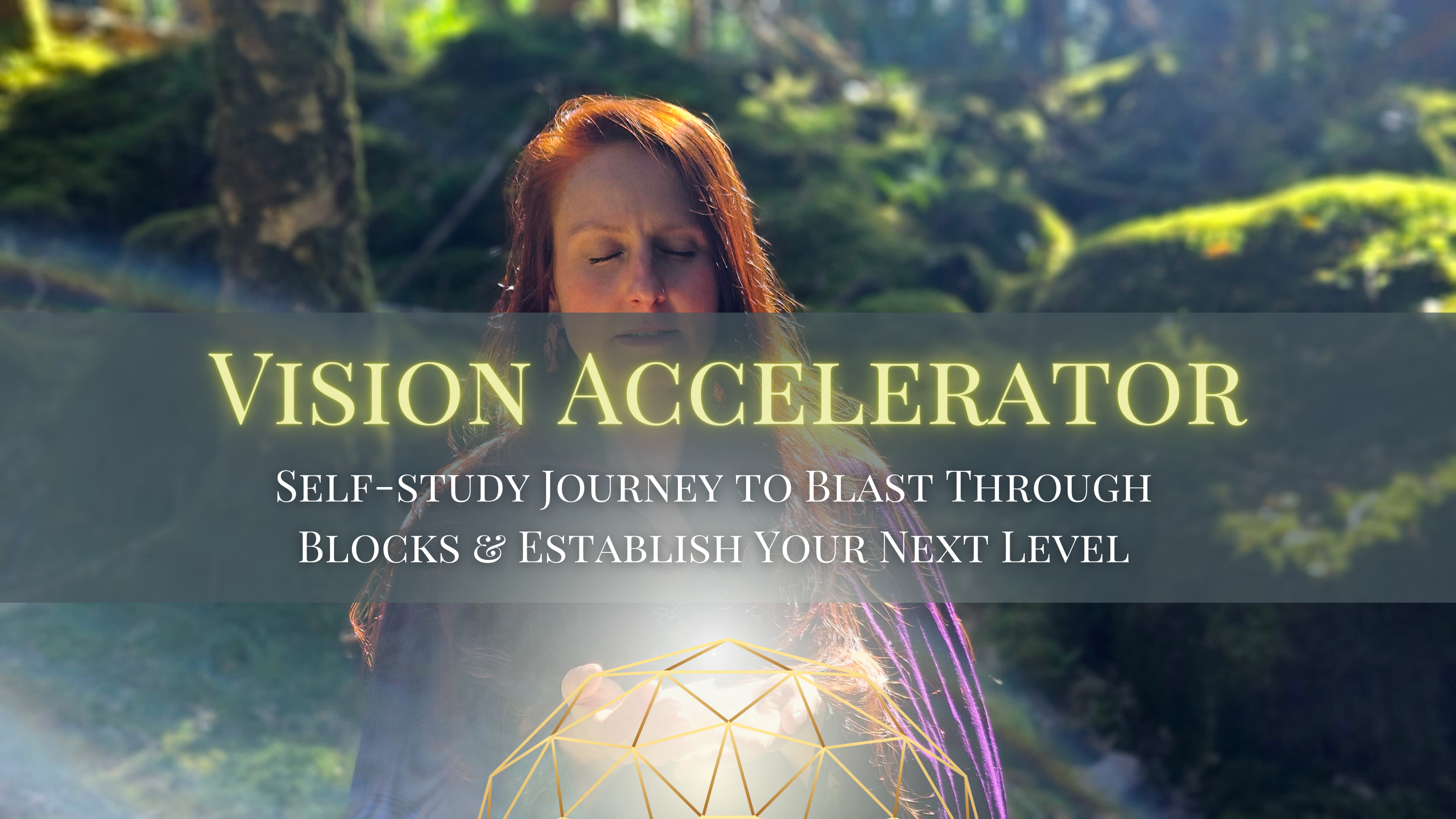 The Vision Accelerator