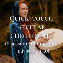 Quick-touch Regular Checkpoints – 8 Session Commitment